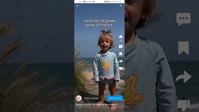 смотрим шорцы