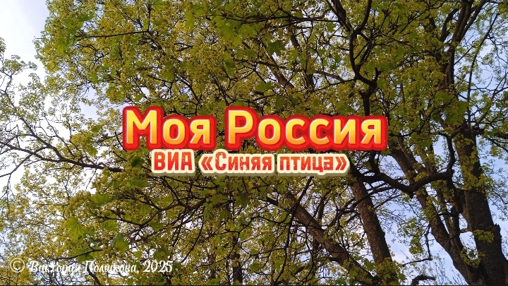 Моя Россия - ВИА "Синяя птица", вокал Сергей Левкин, бэк вокал Сергей Дроздов,раритетная запись 1986 смотреть онлайн