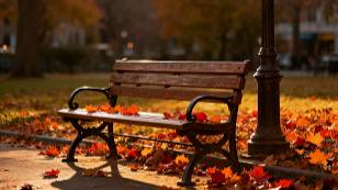 ОСЕНЬ. Музыка для работы и отдыха.