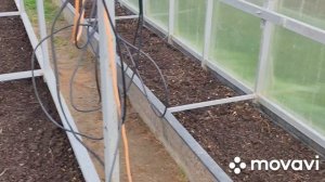 Греющий кабель, почва в теплице