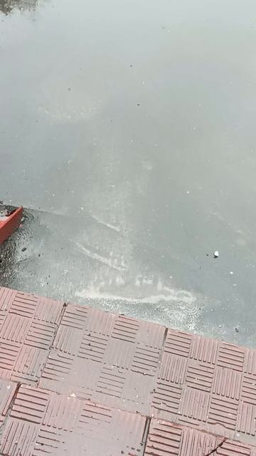 вторая часть собираюсь в школу