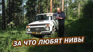 За что люди любят Ваз Ниву.  Без Нивы жизнь плоха