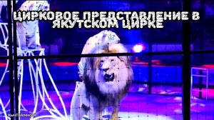 Цирковое представление в Якутском цирке