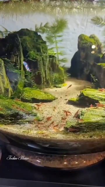 какая_красота смотреть онлайн