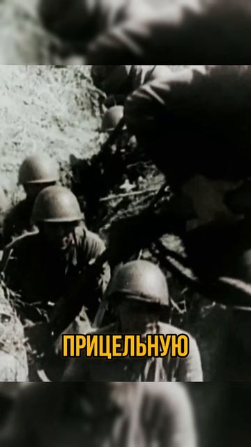 Kто уничтожил 429 фашистов? И почему его боялись даже немецкие снайперы?