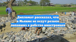 Дипломат рассказал, что в Мьянме не ведут розыск попавших в рабство иностранцев
