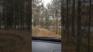 Остров Большое Луговое.mp4