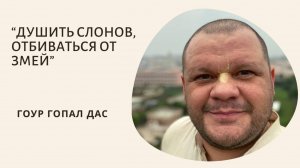 ДУШИТЬ СЛОНОВ, ОТБИВАТЬСЯ ОТ ЗМЕЙ
