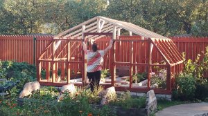 Теплица женскими руками