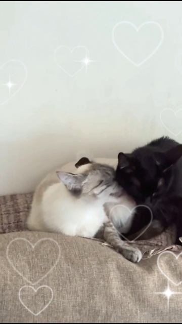 От любви до ненависти