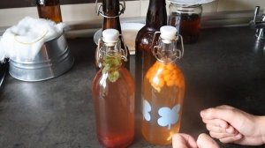 Фруктовая комбуча. Чайный гриб с разными вкусами. Вторичная ферментация. Как сделать дома газировку.
