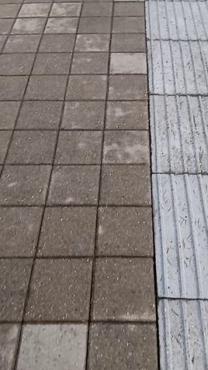 VID_20251013_145210.mp4