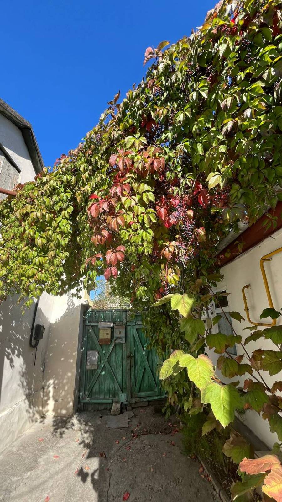 Часть дома Новороссийская, 28