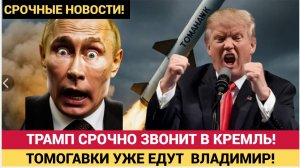 Обнародованы новые подробности звонка Трампа Путину