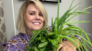 ВСТРЕЧАЮ ГОСТЕЙ/ПРИНЕСЛИ ПОДАРКИ/ПОКУПКИ ПРОДУКТОВ/ГОТОВЛЮ БЛИНЧИКИ С ЯБЛОКАМИ/СТАРЕЮ ЧТО ДЕЛАТЬ☺️