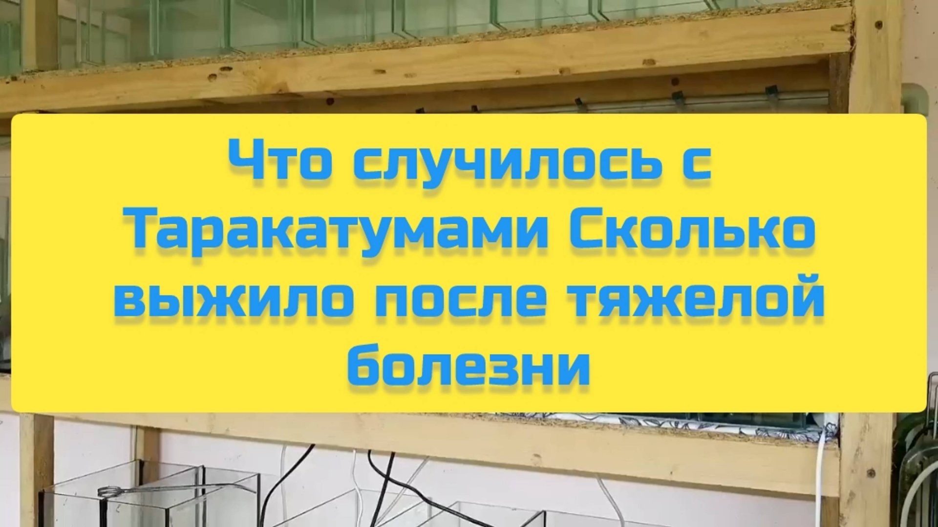 ЧТО СЛУЧИЛОСЬ С ТАРАКАТУМАМИ СКОЛЬКО ВЫЖИЛО ПОСЛЕ ТЯЖЁЛОЙ БОЛЕЗНИ смотреть онлайн