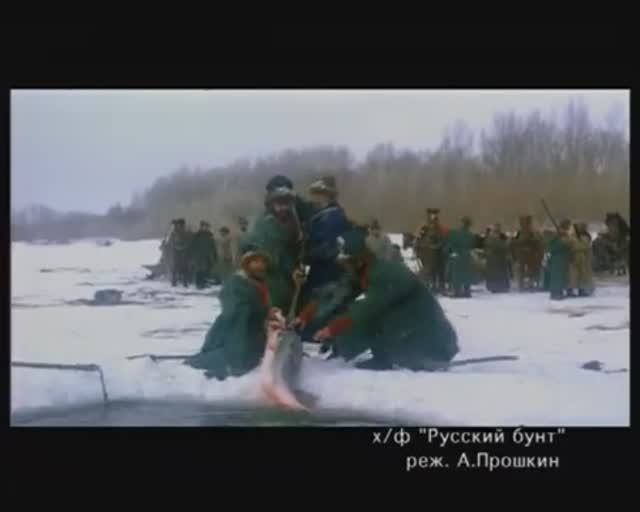 Как в старину на реке Урал багрили в зимовальных ямах представителей сем. Осетровые — Acipenseridae? смотреть онлайн