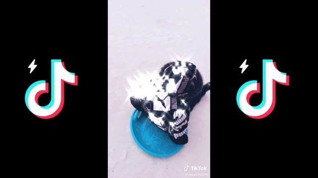 Ярослав (сборник TikTok Lite) [2021-2022] №2 😎😎😎 ролик 2025 г. смотреть онлайн