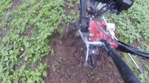 Мотоблок Boxbot MT-900 PRO 4+2 9лс