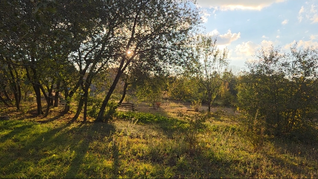 14-10-2025 ИТАК, ПОКРАСОЧНЫЙ СЕЗОН ОФИЦИАЛЬНО ЗАКРЫТ:)ОГОРОД ЧАСТИЧНО УБРАН/КРАСАВИЦА ОСЕНЬ 🍂 🍂