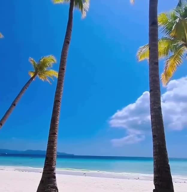 Боракай - это место, где можно насладиться одним из лучших пляжей в мире. Остров расположен недал... смотреть онлайн