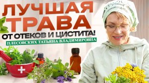 ОТЁКИ исчезают, ЦИСТИТ проходит!  Всего ДВЕ травы - Польза Брусники и Грушанки - Плесовских Т.В.