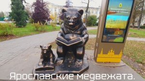 Ярославские медвежата.