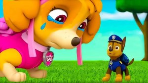 ЩЕНЯЧИЙ ПАТРУЛЬ МУЛЬТФИЛЬМ - МУЛЬТИК ЩЕНЯЧИЙ ПАТРУЛЬ - ИГРОВОЙ МУЛЬТИК ДЛЯ МАЛЫШЕЙ