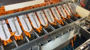 Работа многоканальной весовой станции.