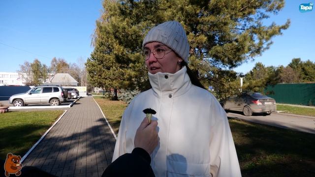 ОПРОС День рождения Винни-Пуха (14.10.2025) смотреть онлайн