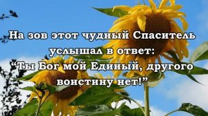 Я верю в Иисуса. Христианское караоке