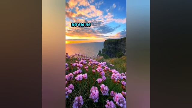 Если у вас чего- то нет... смотреть онлайн