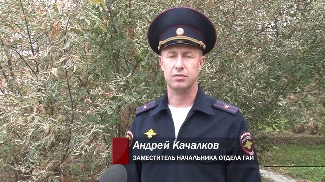 Сколько аварий произошло в регионе по вине пьяных водителей? Панорама 14.10.25 смотреть онлайн