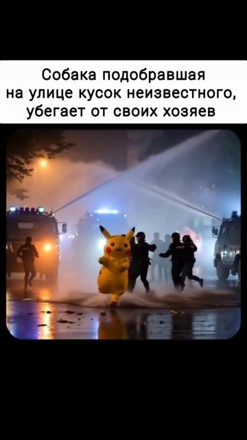 Собака все подбирает смотреть онлайн