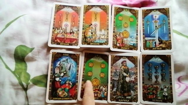 На одну кошку 18 кв м? смотреть онлайн