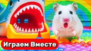 УМНЫЙ ХОМЯК ВЫБИРАЕТСЯ ИЗ СЛОЖНЫХ ЛАБИРИНТОВ С ЛОВУШКАМИ И МОНСТРАМИ 🐹