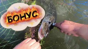 ЧИСТИЛ ЩУКУ И НАШЕЛ ВНУТРИ КОЕ ЧТО