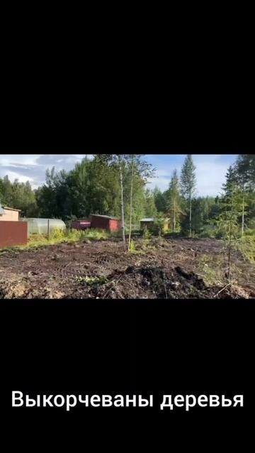 Участок в ДНТ Звезда смотреть онлайн