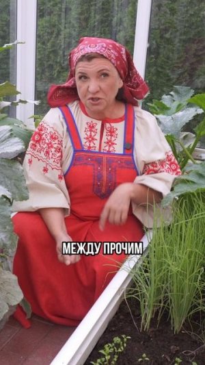 Зачем плевались на Руси?
