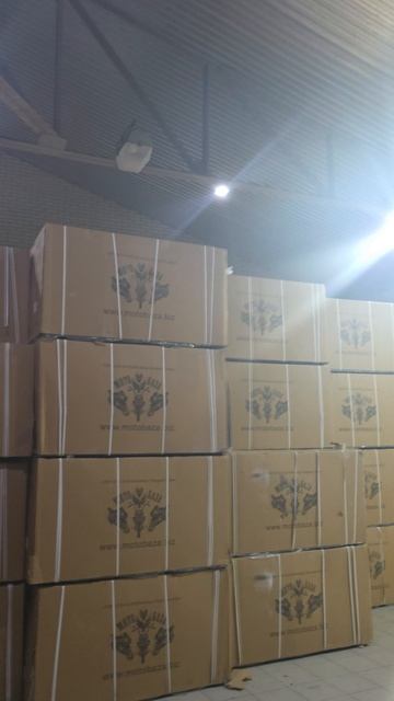 Отправка Гюрза М12 2шт г.Михайловск т:89612934363 с10:00 до 20:00 смотреть онлайн