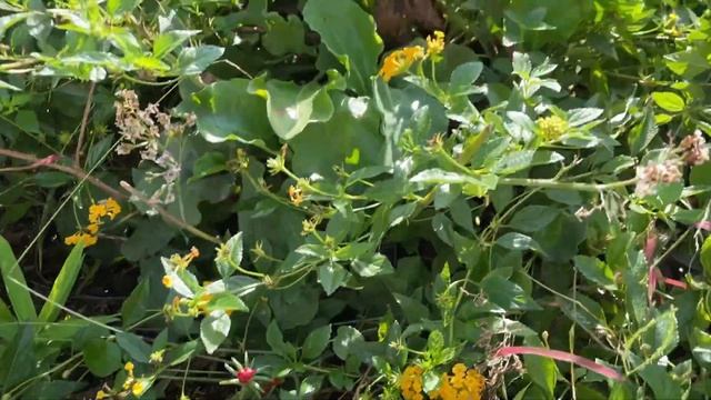 Жизнь Наташи и ее семьи в Испании! смотреть онлайн