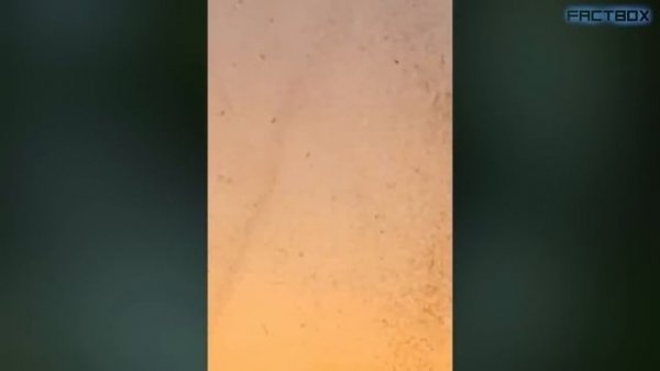 НЕ ПРИБЛИЖАЙТЕСЬ, Если Увидите ЭТО! Случаи В ПРИРОДЕ Один На МИЛЛИОН!