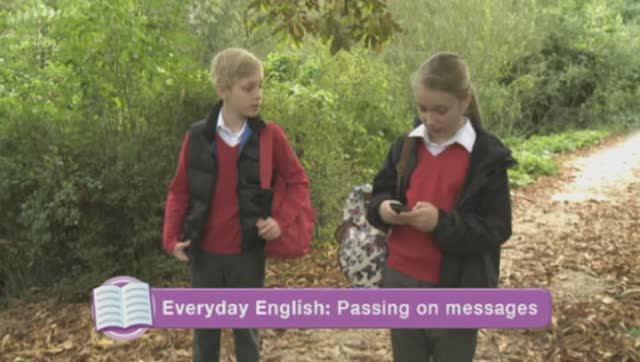 FF 5| Family and Friends 5| Fluency3.dvd смотреть онлайн