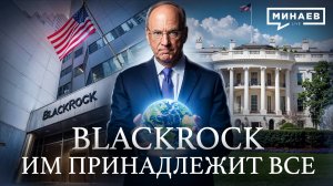 BlackRock: Теневое правительство мира? / Уроки истории / МИНАЕВ
