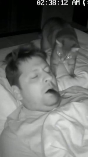 Обожаем котиков🤣🤣🤣