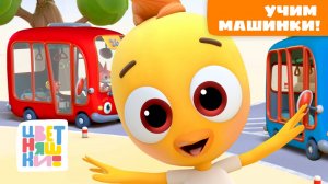 Учим машинки! Все виды транспорта — от автобуса до самолёта | Цветняшки мультики для детей | сборник