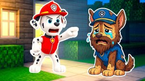 ГОНЩИКА ВЫГНАЛИ из ДОМА и ОН СТАЛ БОМЖОМ ЩЕНЯЧИЙ ПАТРУЛЬ В МАЙНКРАФТ PAW PATROL