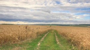 Дороги России