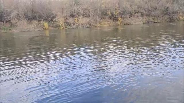 Рыбалка на реке Воронеж, г.Воронеж, 12.10.2025 года смотреть онлайн