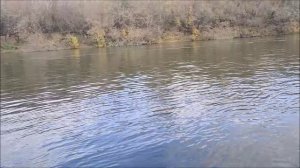 Рыбалка на реке Воронеж, г.Воронеж, 12.10.2025 года